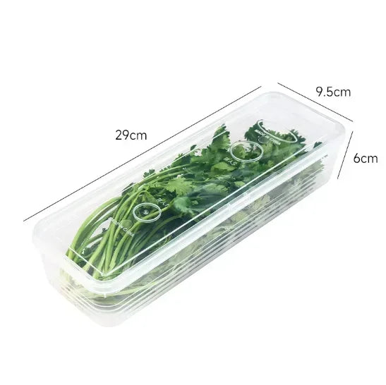 Clear-Lidded Keepers of Freshness - Arkon Shopping Transparent / 1PC