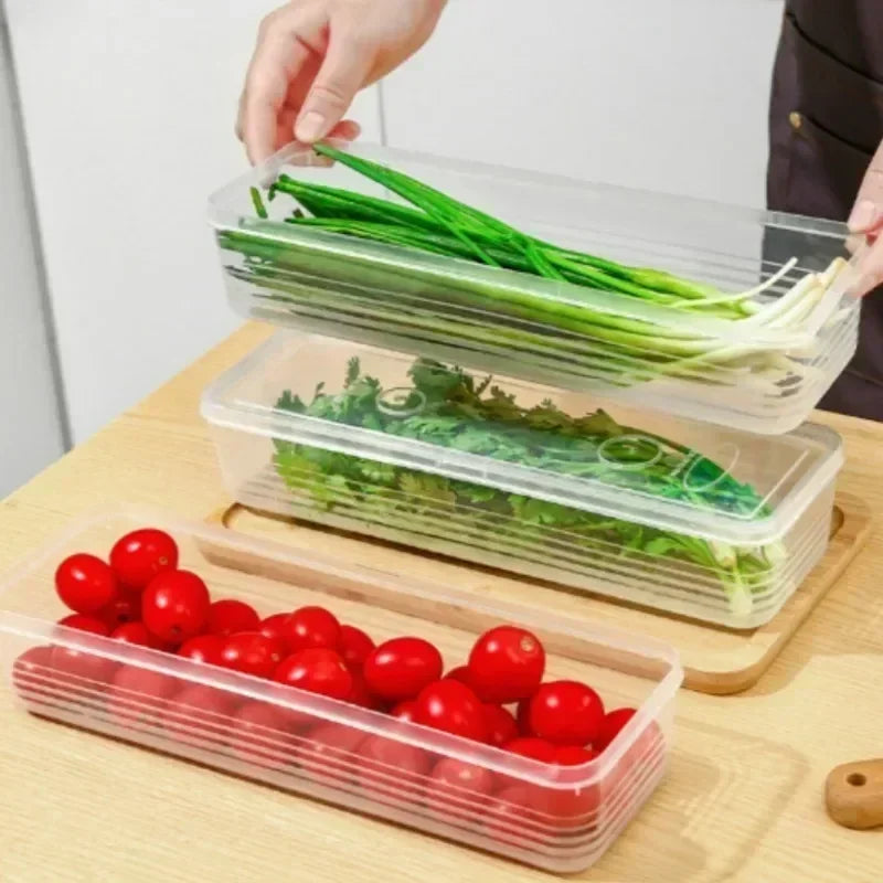Clear-Lidded Keepers of Freshness - Arkon Shopping Transparent / 1PC