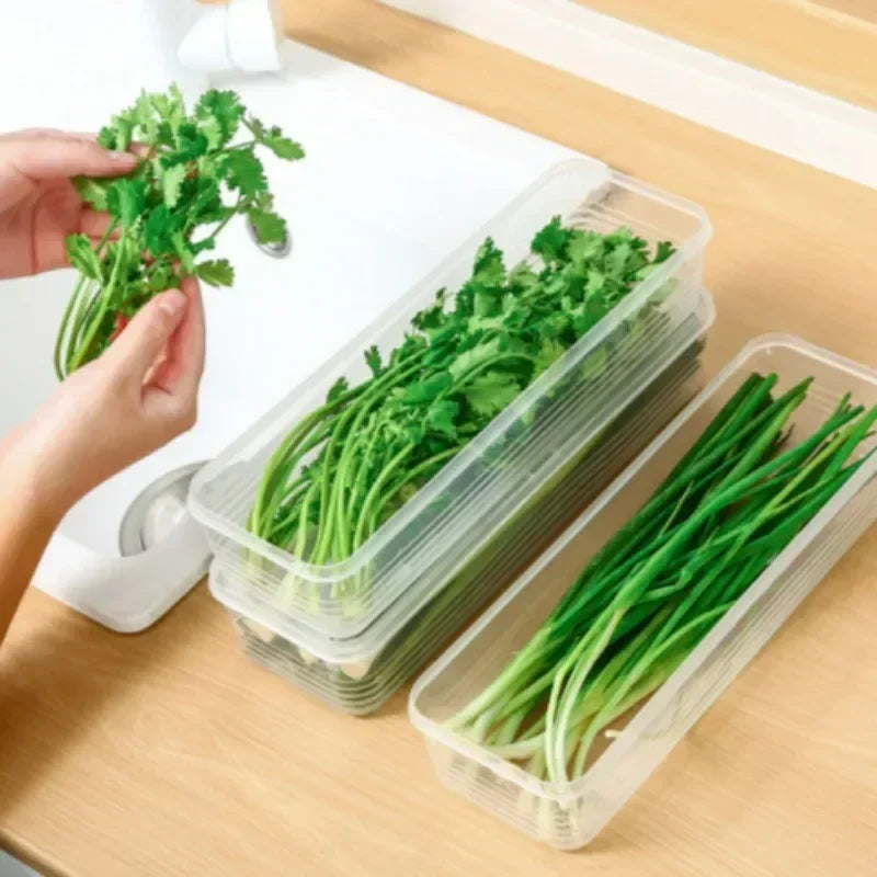 Clear-Lidded Keepers of Freshness - Arkon Shopping Transparent / 1PC