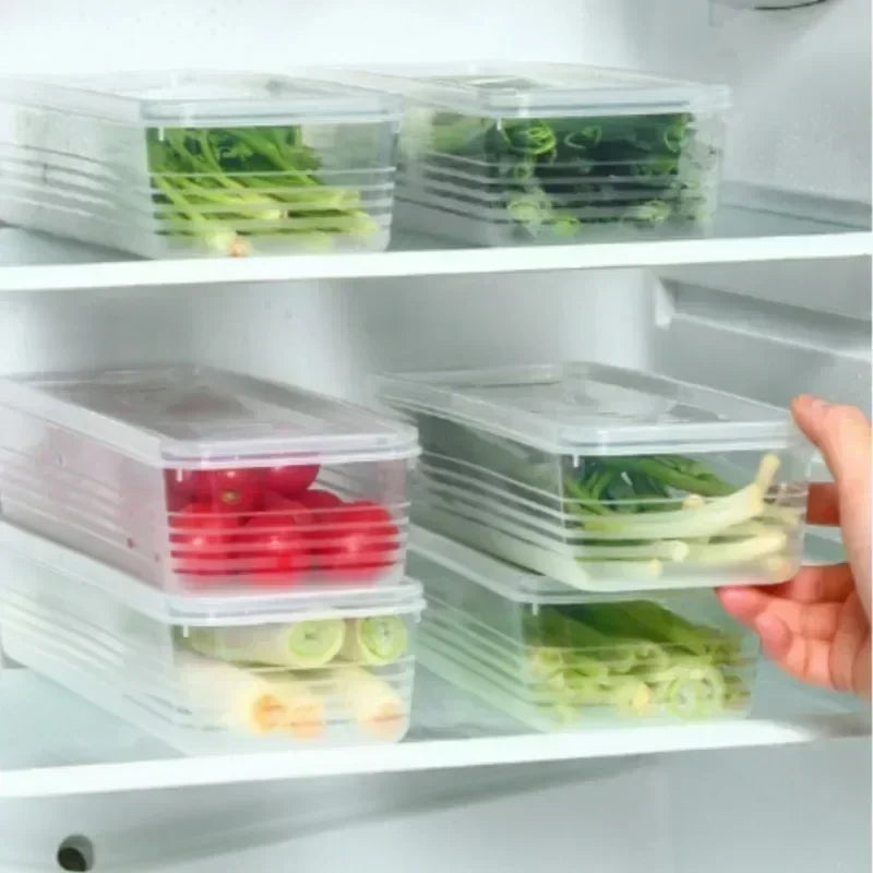 Clear-Lidded Keepers of Freshness - Arkon Shopping Transparent / 1PC